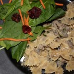 Remixed Turkey Stroganoff