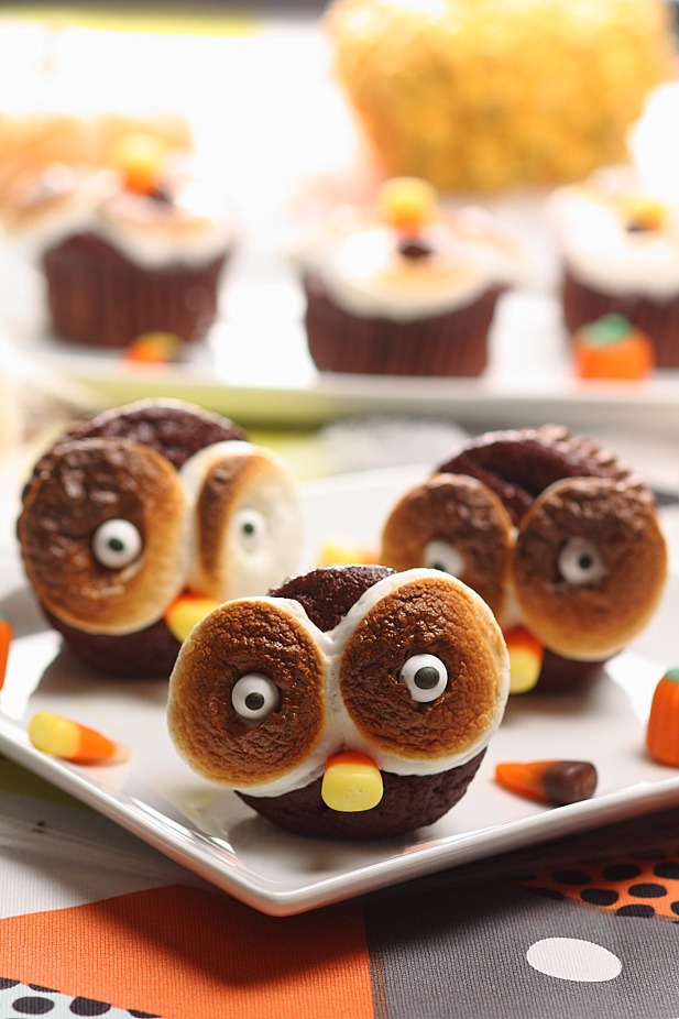 Hooty Marshmallow Chocolate Cupcakes