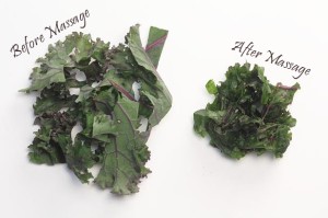 Autumn Squash & Kale Salad