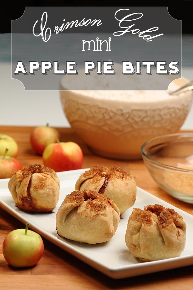 Crimson Gold Mini Apple Pie Bites